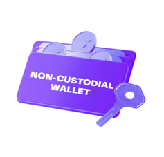 Non-Custodial Exchange