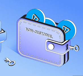 How Non-Custodial Wallets Work