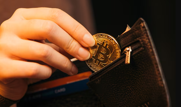 Private Crypto Wallet